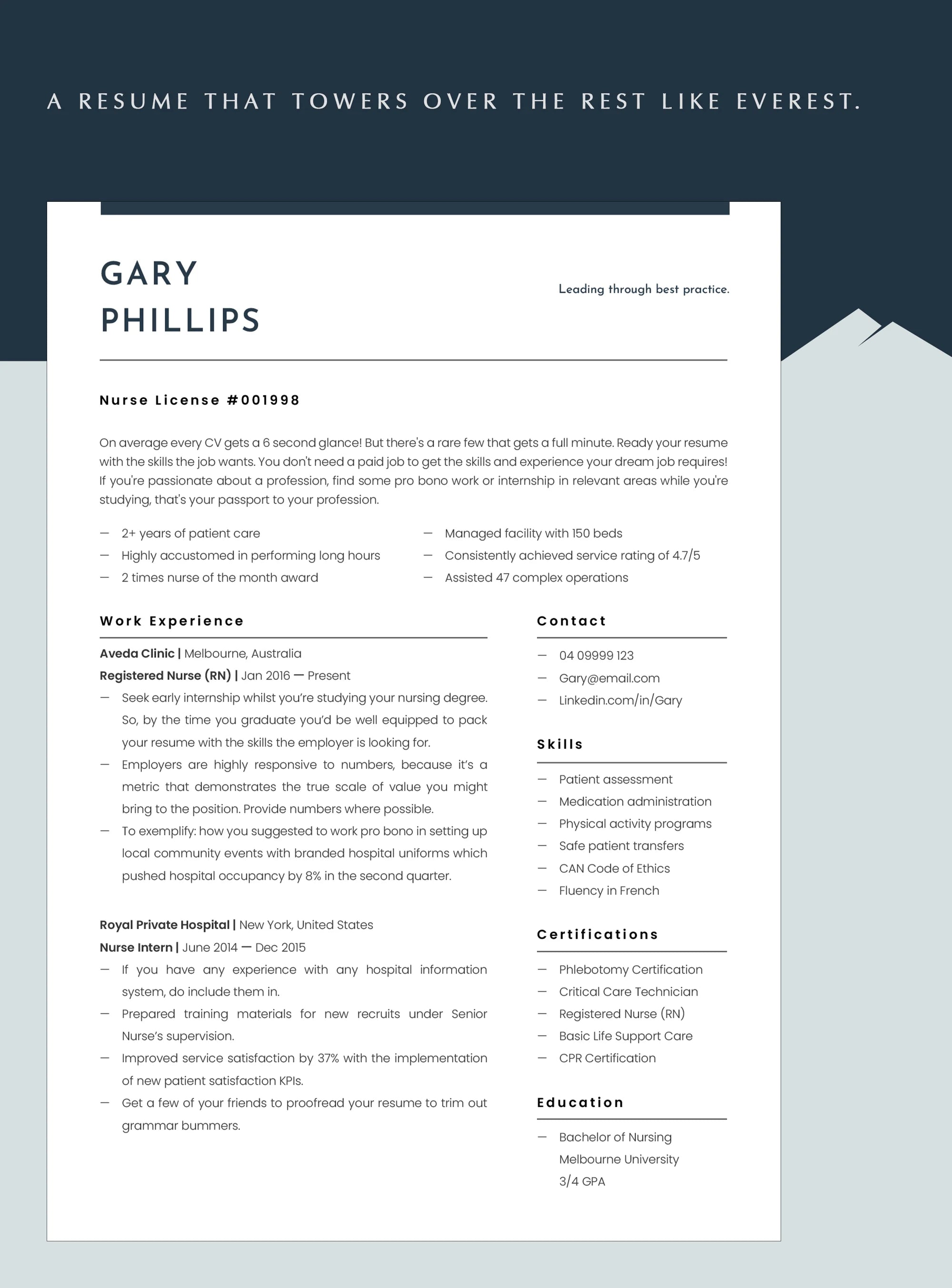 Ultra Clean Nurse CV Template for Word, Pages, Google Docs