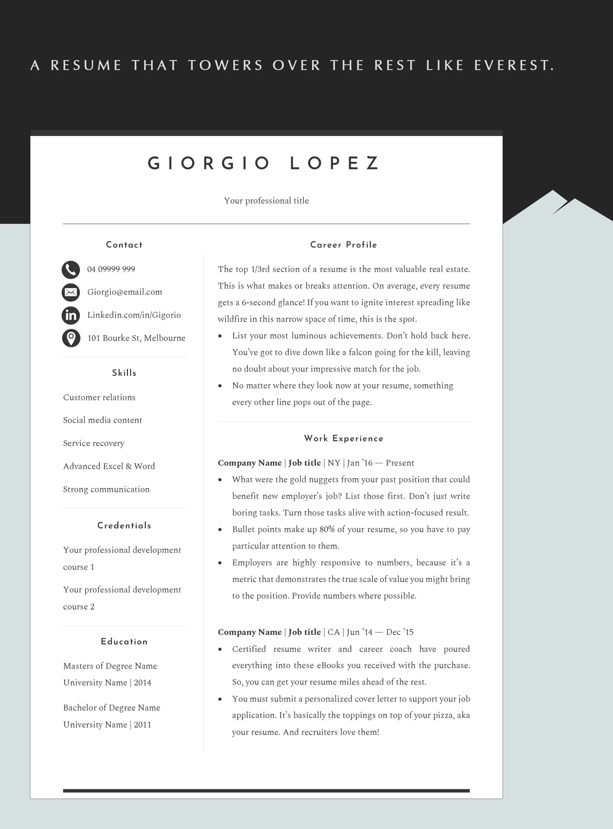 Elegant 2-Column Resume Template For Professionals in Word, Pages, Docs